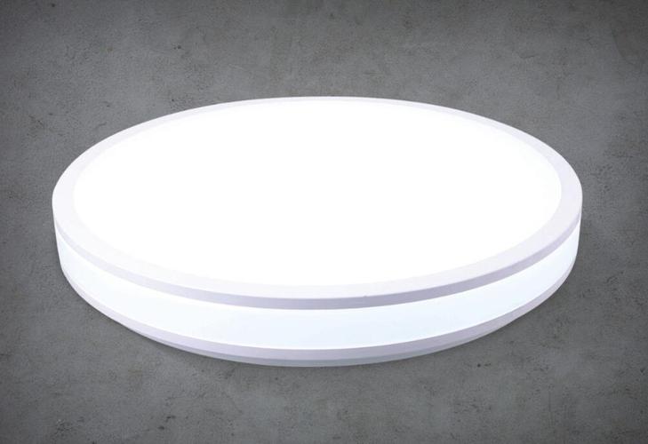 厂家直销led吸顶灯 批发纯白圆形长方形客厅卧室照明装修装饰灯具